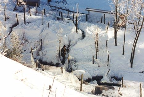 Digging paths as we sometimes get a lot of snow