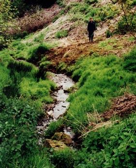 site before renovations