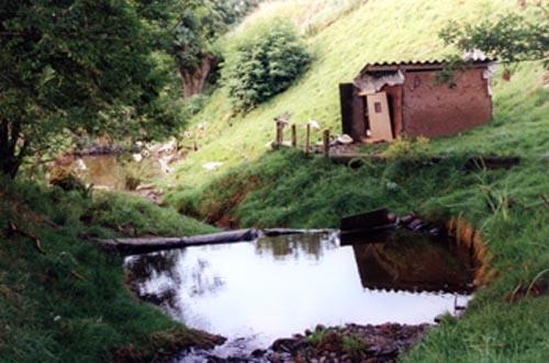 Site after renovations