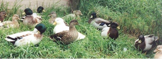 This years youngsters