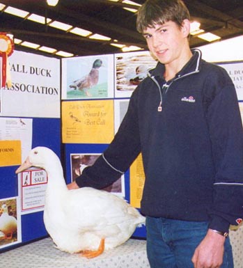 Best Aylesbury   Sollihull  2001